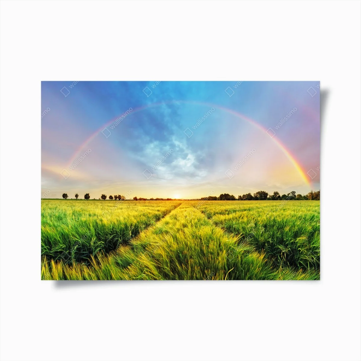 Poster paysage champêtre avec arc-en-ciel au coucher du soleil – Wallnifity® Poster paysage champêtre avec arc-en-ciel au coucher du soleil – Wallnifity®
