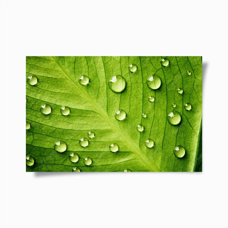 Salle de bain – Wallnifity®