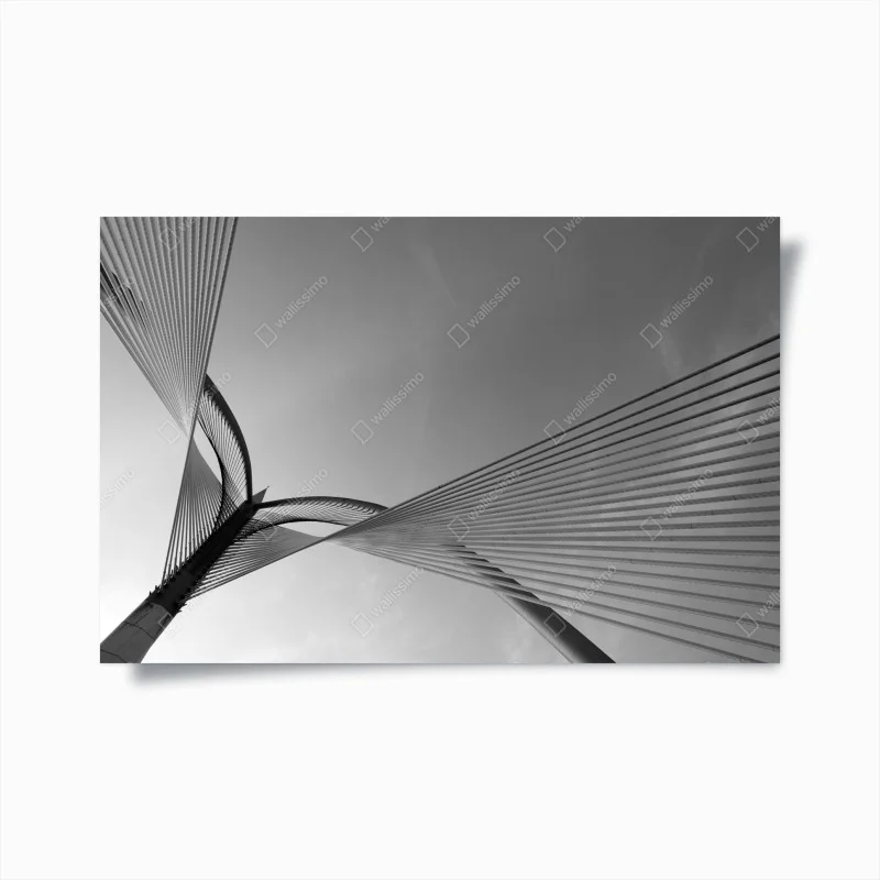 Ponts – Wallnifity®