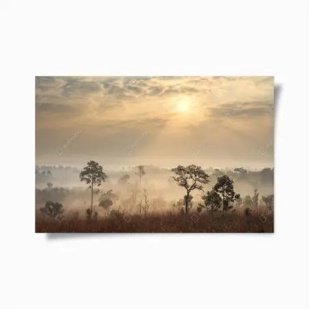 Poster brume dorée sur la savane de Thaïlande – Wallnifity®