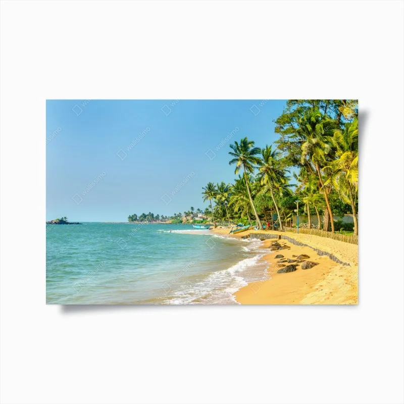 Posters – Wallnifity®