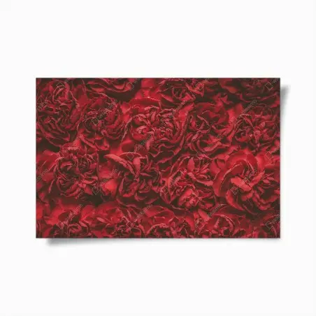 Poster œillets rouges rétro pour décoration intérieure – Wallnifity®