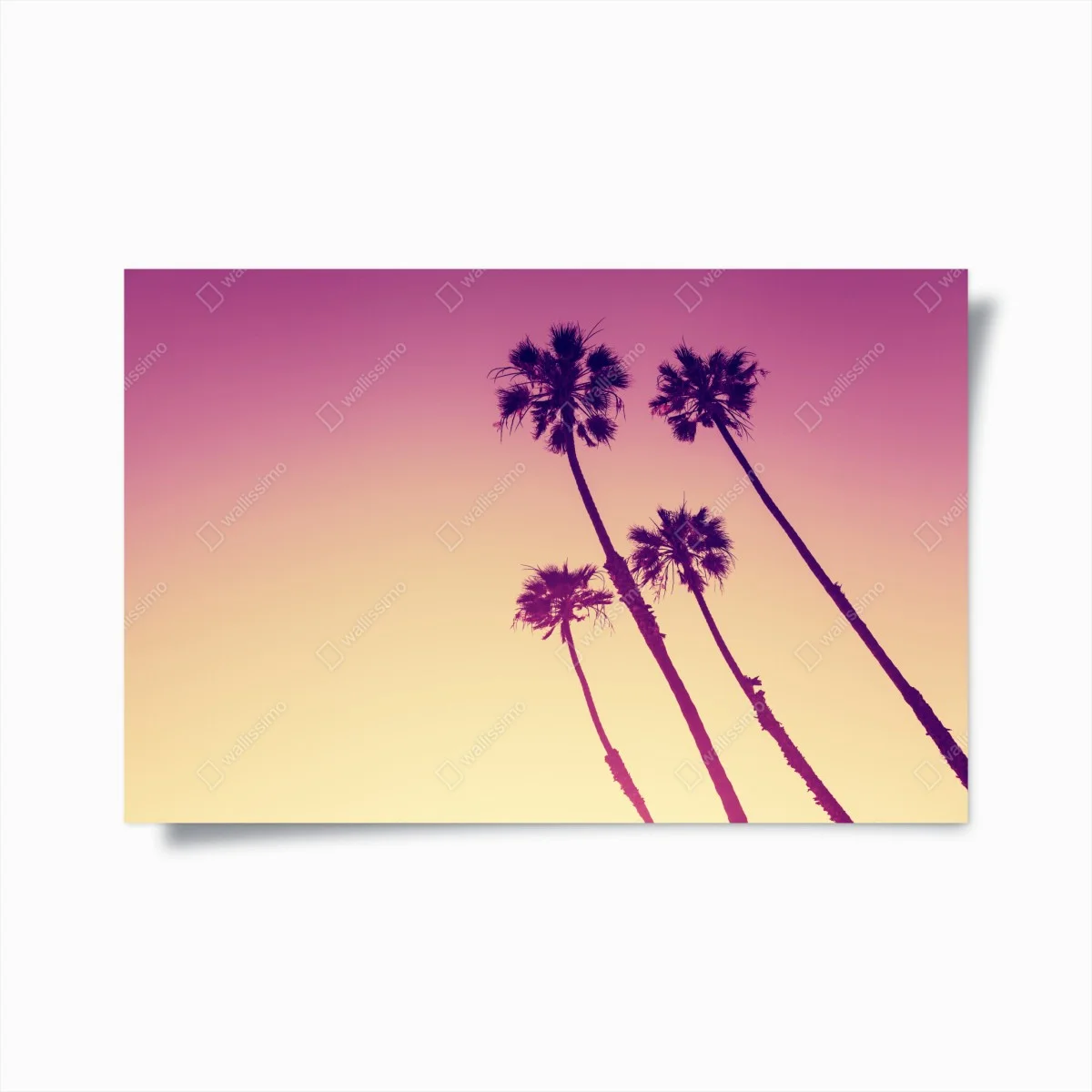 Poster palmiers au crépuscule à Sunset Cliffs, San Diego – Wallnifity® Poster palmiers au crépuscule à Sunset Cliffs, San Diego – Wallnifity®