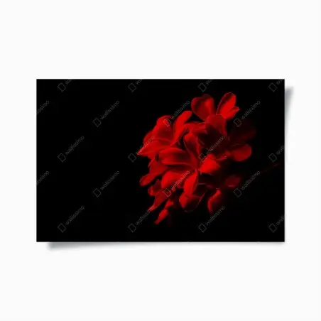 Poster frangipanier rouge sur fond noir – Wallnifity®