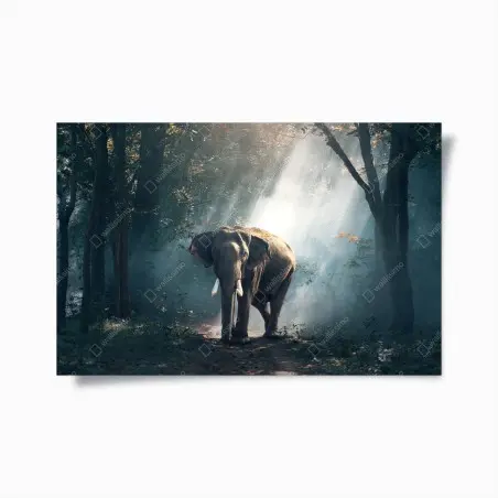 Poster éléphant majestueux dans la forêt brumeuse – Wallnifity®