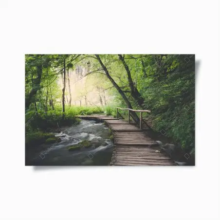 Poster passerelle en bois au cœur de la forêt – Wallnifity®