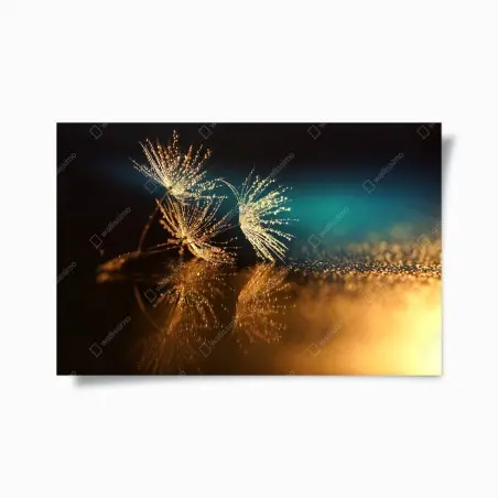 Poster pissenlits en rosée dorée – Wallnifity®