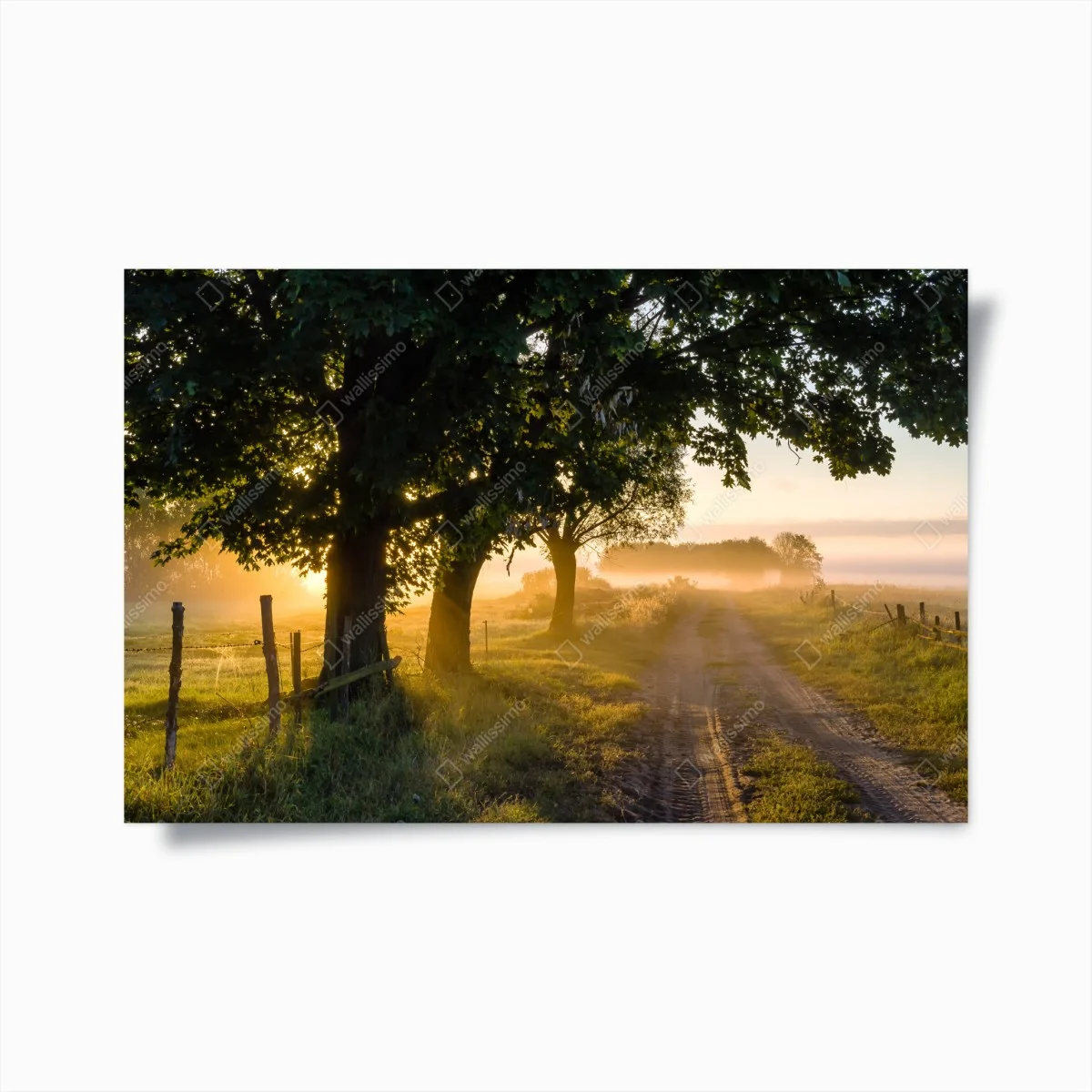 Poster aube dorée sur le chemin de campagne – Wallnifity® Poster aube dorée sur le chemin de campagne – Wallnifity®