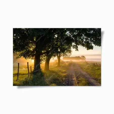 Poster aube dorée sur le chemin de campagne – Wallnifity®