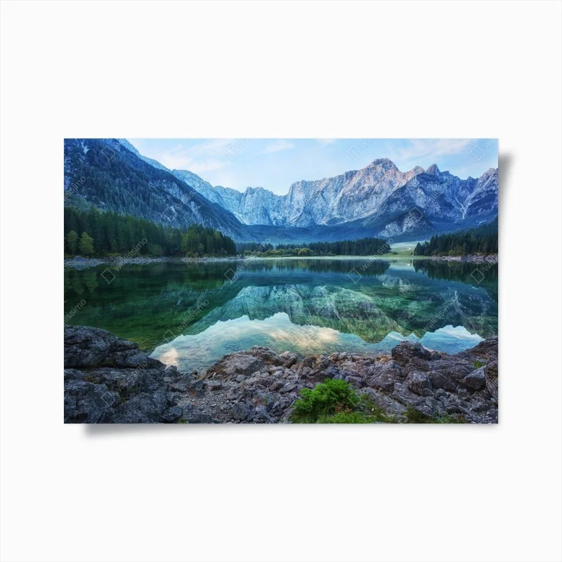 Posters – Wallnifity®