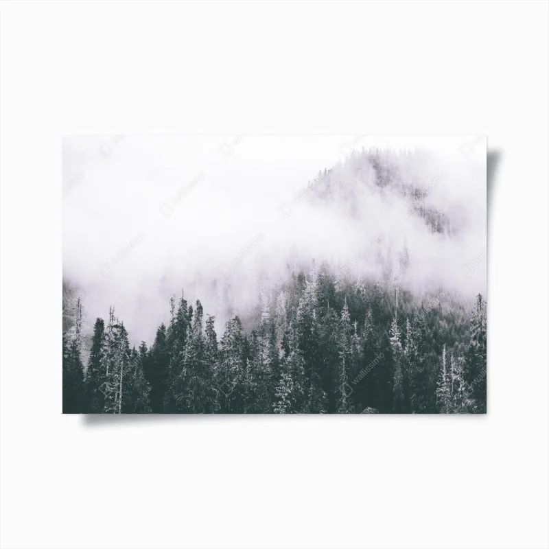 Poster forêt brumeuse en noir et blanc – Wallnifity® Poster forêt brumeuse en noir et blanc – Wallnifity®