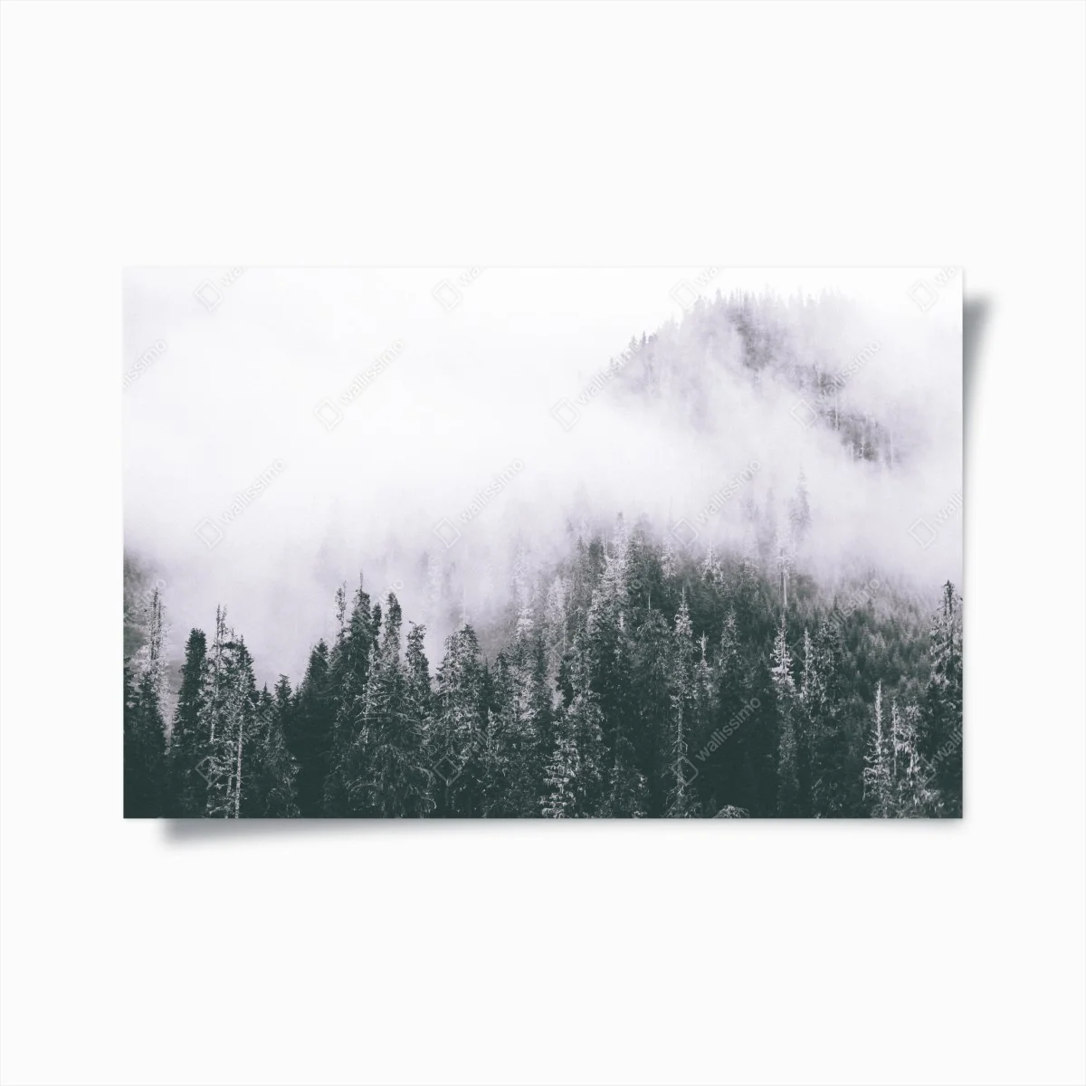 Poster forêt brumeuse en noir et blanc – Wallnifity® Poster forêt brumeuse en noir et blanc – Wallnifity®