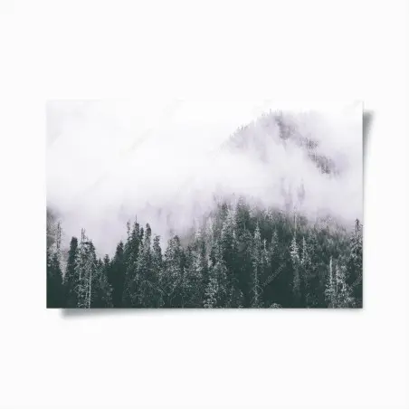 Poster forêt brumeuse en noir et blanc – Wallnifity®