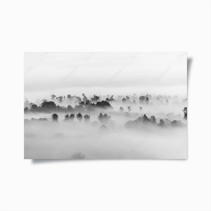 Forêts – Wallnifity®