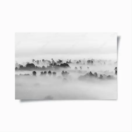 Poster brume sur la forêt en noir et blanc – Wallnifity®