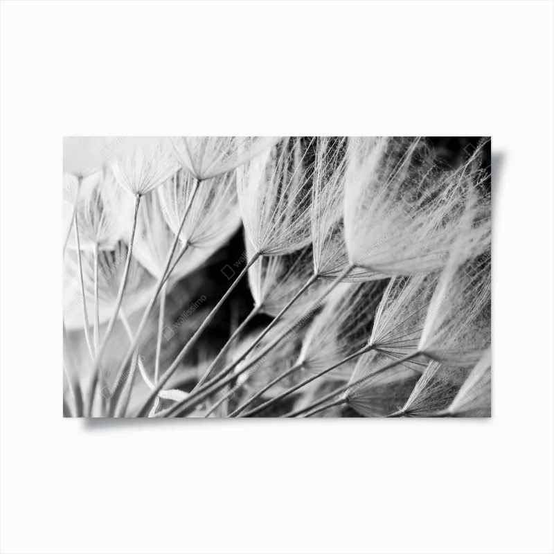 Chambre – Wallnifity®