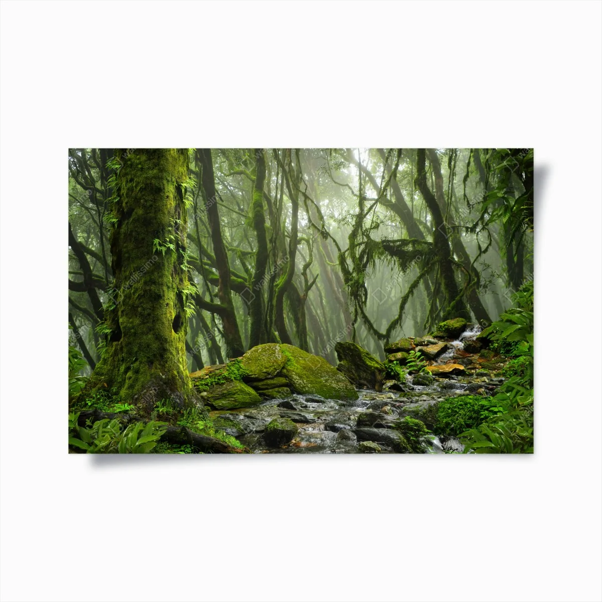 Poster ruisseau dans la forêt embrumée – Wallnifity® Poster ruisseau dans la forêt embrumée – Wallnifity®
