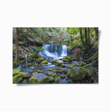 Poster cascade sereine au cœur de la forêt – Wallnifity®