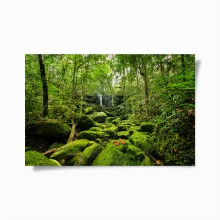 Poster cascade et mousse verte dans la forêt tropicale – Wallnifity®