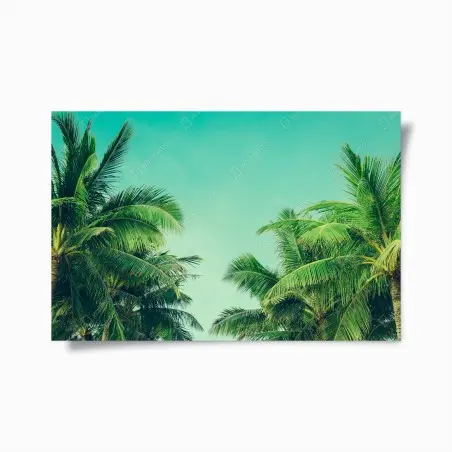 Poster palmiers tropicaux sous ciel turquoise – Wallnifity®