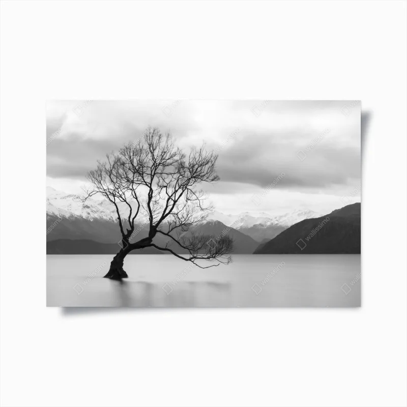 Posters – Wallnifity®