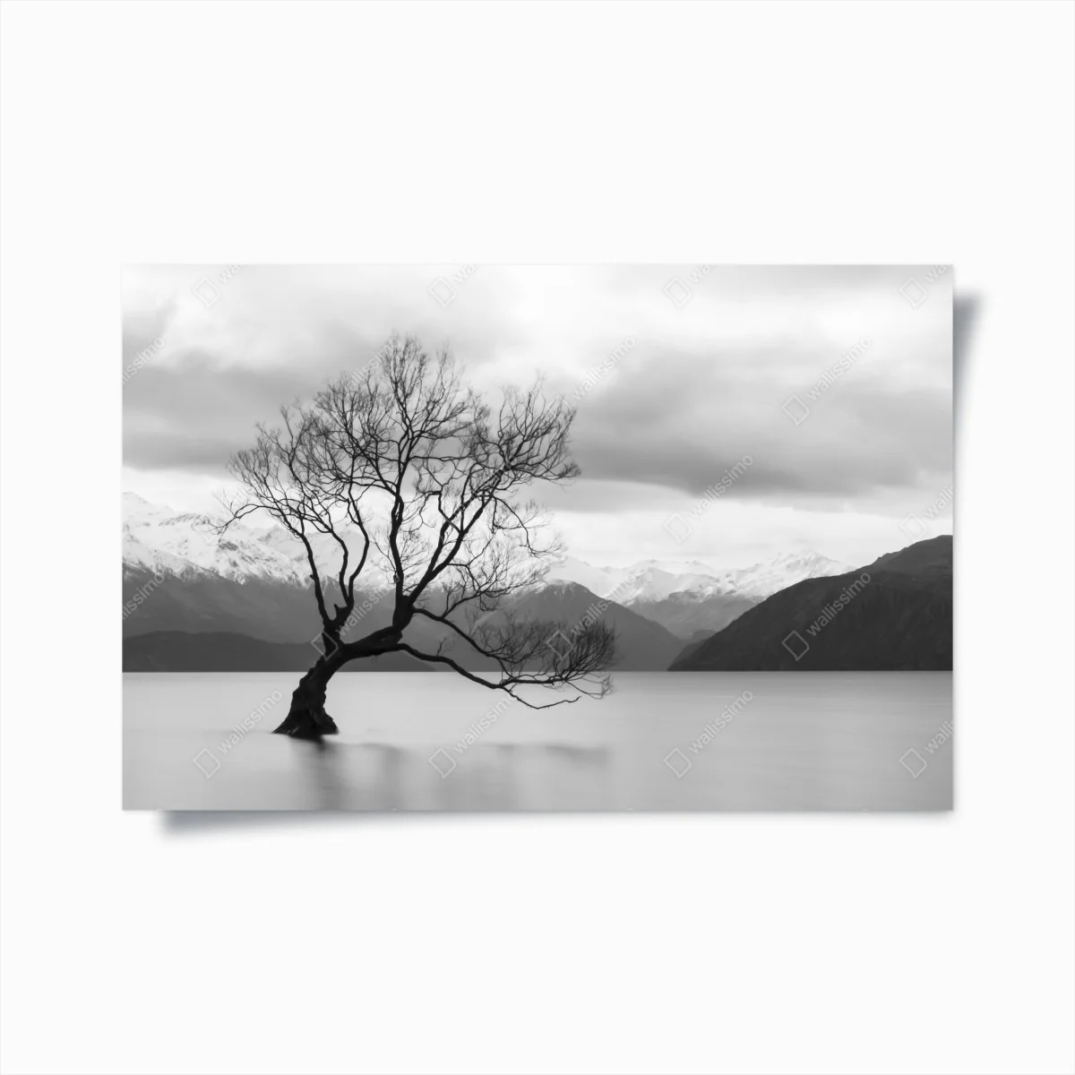 Poster arbre solitaire sur lac brumeux – Wallnifity® Poster arbre solitaire sur lac brumeux – Wallnifity®