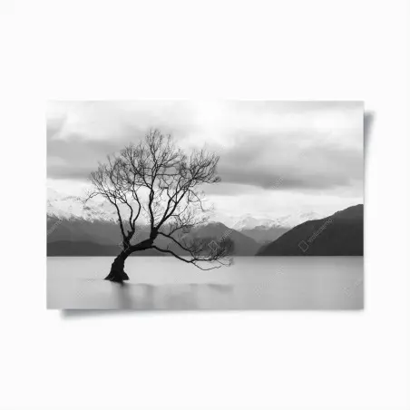 Poster arbre solitaire sur lac brumeux – Wallnifity®