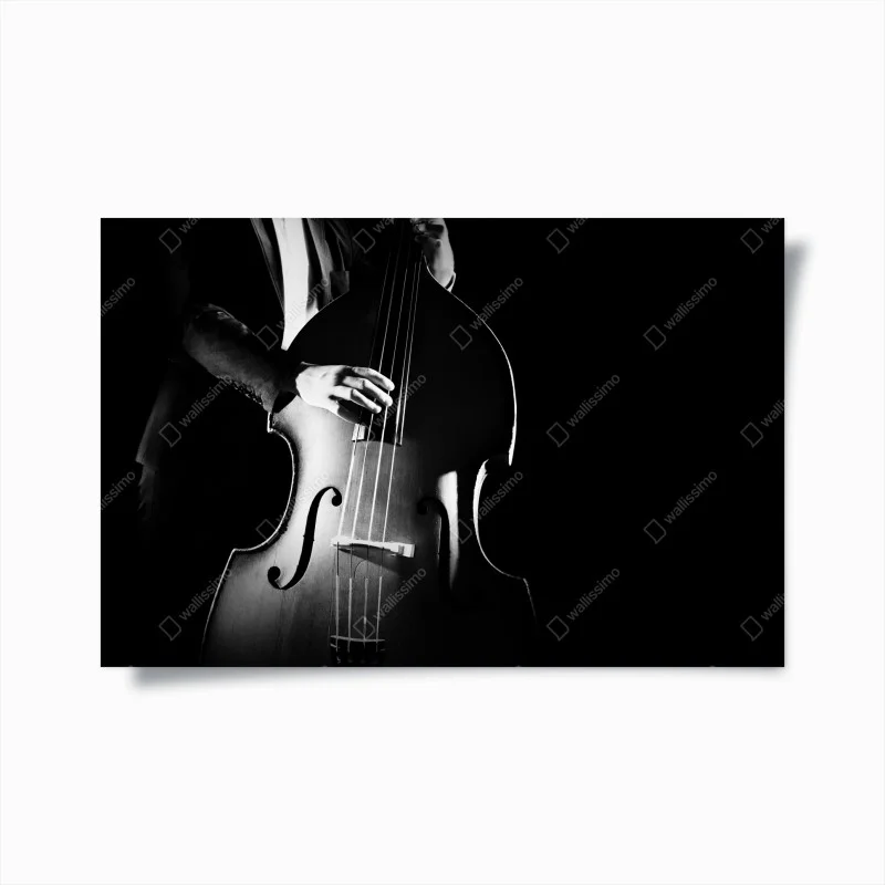 Posters – Wallnifity®