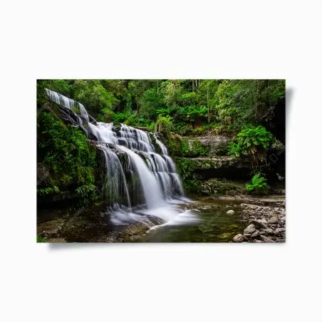 Poster cascade sereine de Liffey Falls, Tasmanie – Wallnifity®