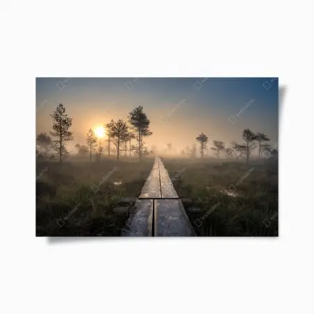 Poster sentier en bois dans la brume au lever du soleil – Wallnifity®