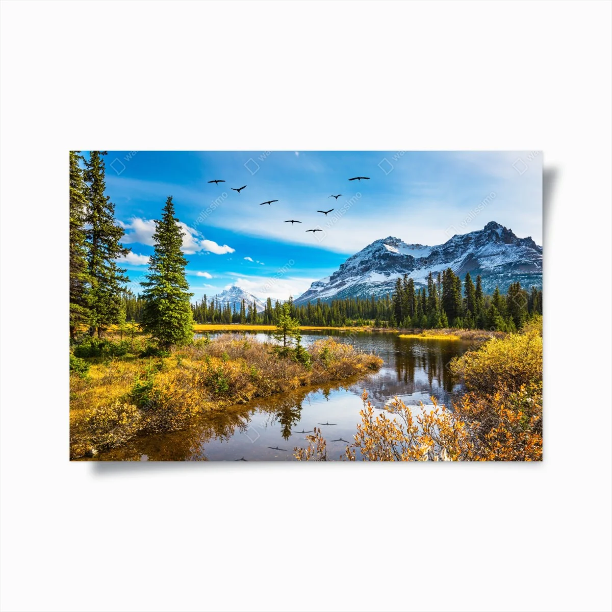 Poster reflets d'oiseaux sur le lac des Rocheuses – Wallnifity® Poster reflets d'oiseaux sur le lac des Rocheuses – Wallnifity®
