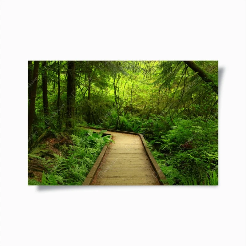 Posters – Wallnifity®