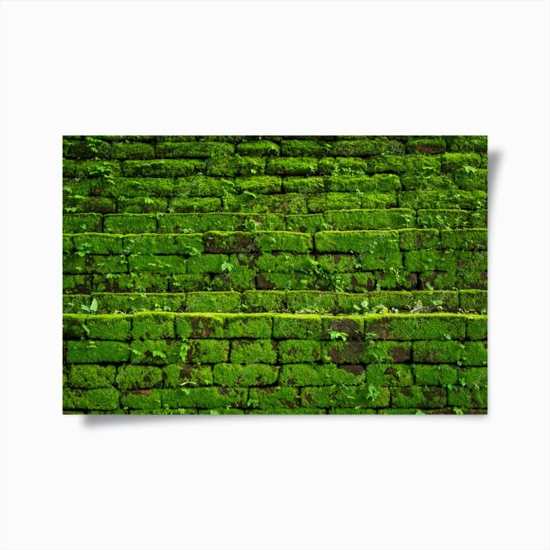 Posters – Wallnifity®