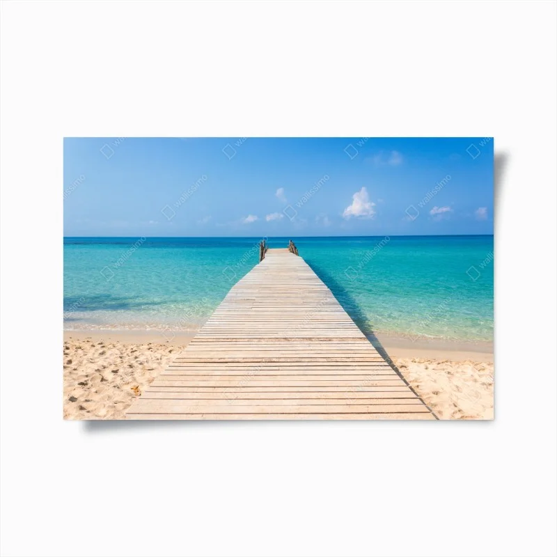 Posters – Wallnifity®