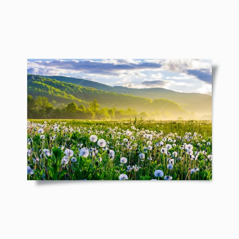 Posters – Wallnifity®