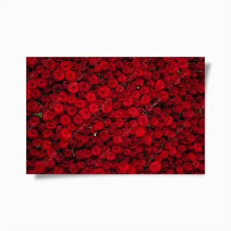 Poster mur de roses rouges intenses – Wallnifity®