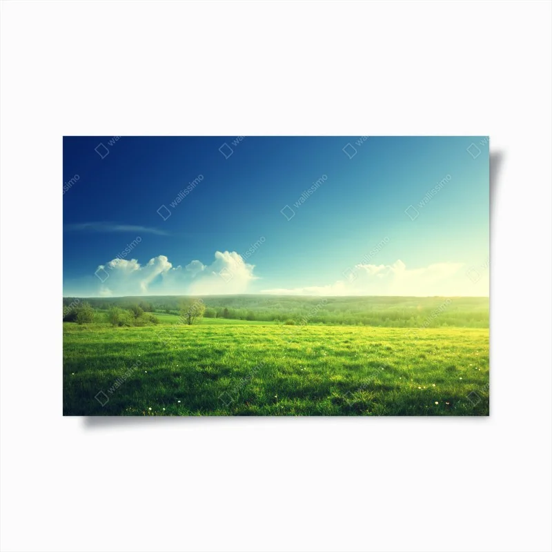 Posters – Wallnifity®