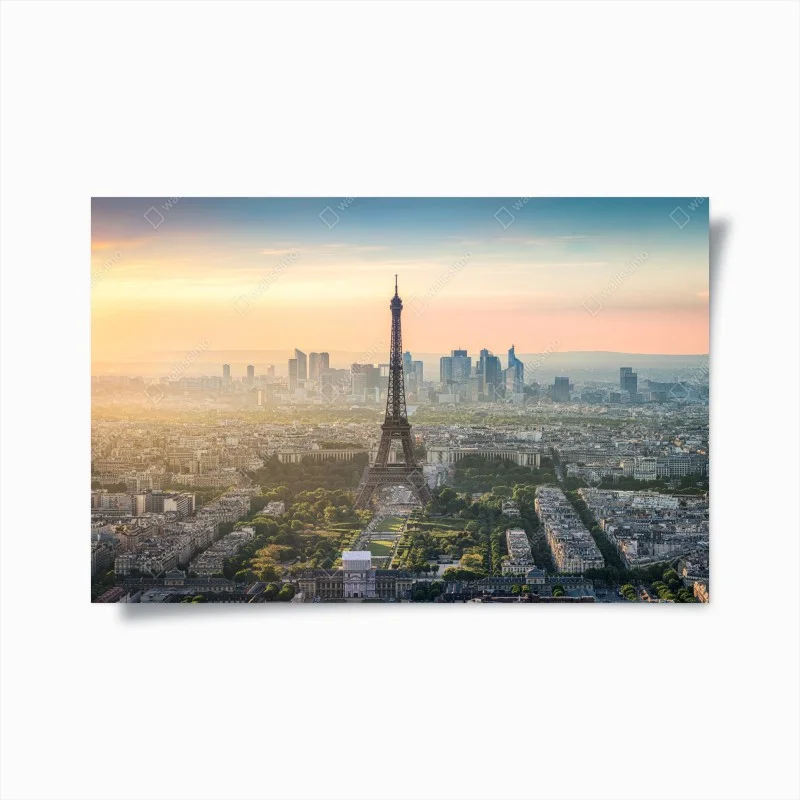 Animaux – Wallnifity®