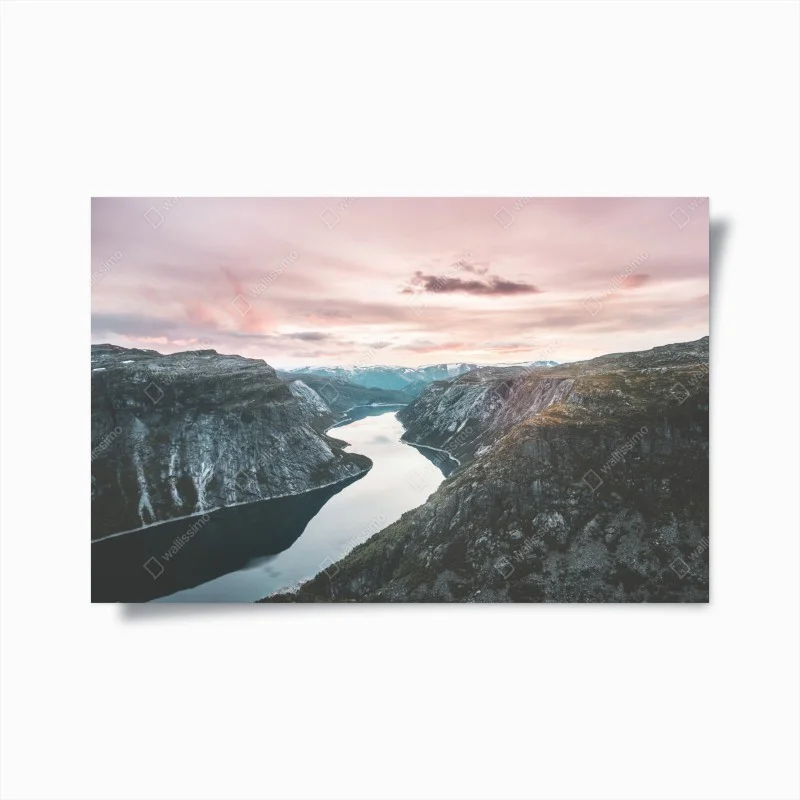 Posters – Wallnifity®