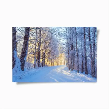 Poster promenade hivernale au soleil doré – Wallnifity®