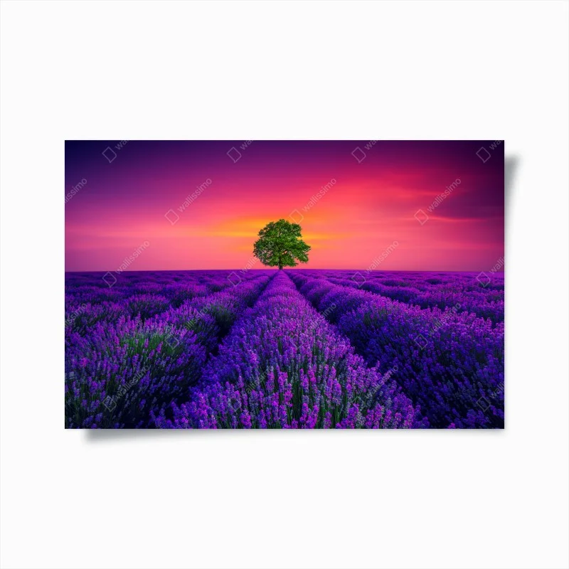 Posters – Wallnifity®