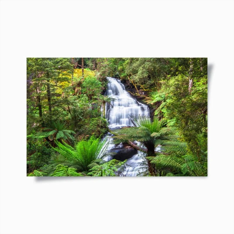 Poster oasis verte de Triplet Falls, Great Otway – Wallnifity®