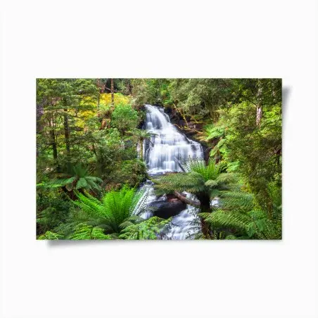 Poster oasis verte de Triplet Falls, Great Otway – Wallnifity®