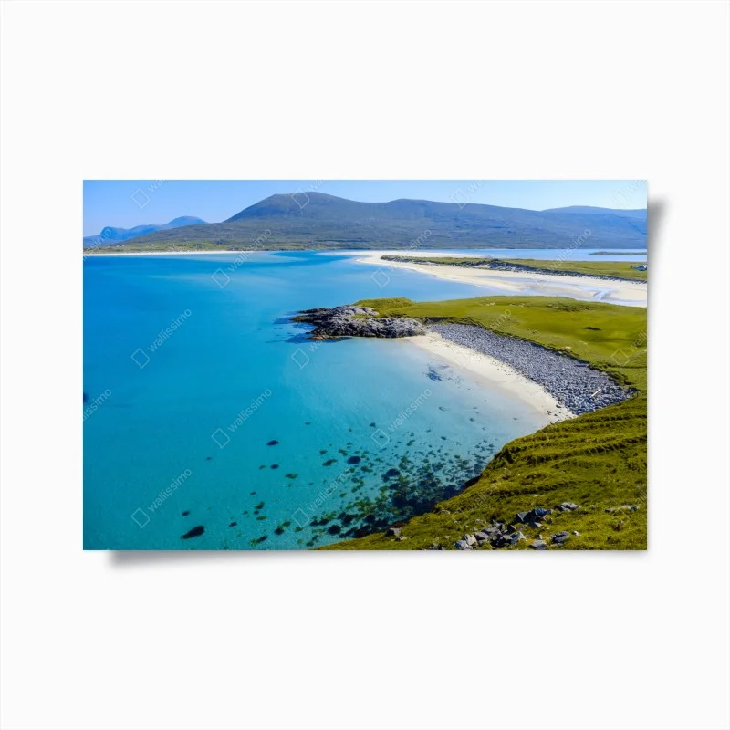 Posters – Wallnifity®