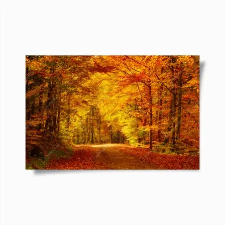 Poster allée d'automne dorée – Wallnifity®