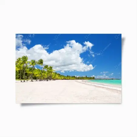 Poster paradis de palmiers à Punta Cana – Wallnifity®