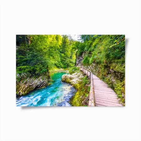 Poster sentier boisé le long d'une rivière émeraude – Wallnifity®