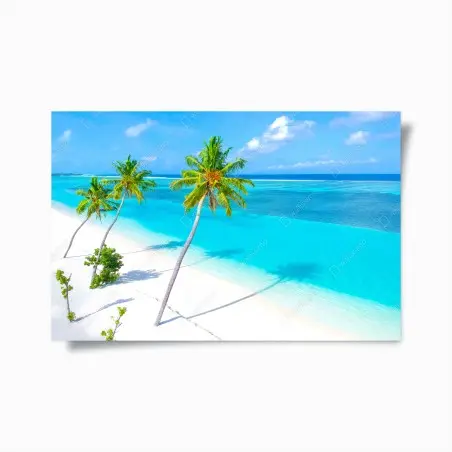 Poster évasion tropicale: palmiers et océan turquoise – Wallnifity®