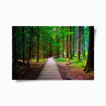 Poster sentier en bois au cœur de la forêt – Wallnifity®