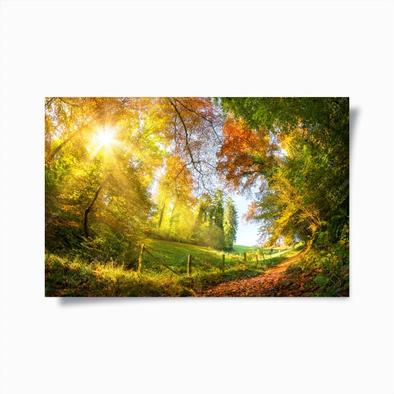 Posters – Wallnifity®